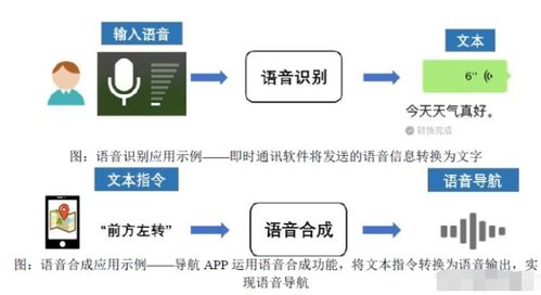 人工智能上游龍頭 語(yǔ)音基礎(chǔ)數(shù)據(jù)國(guó)內(nèi)第一，服務(wù)微軟的隱形冠軍